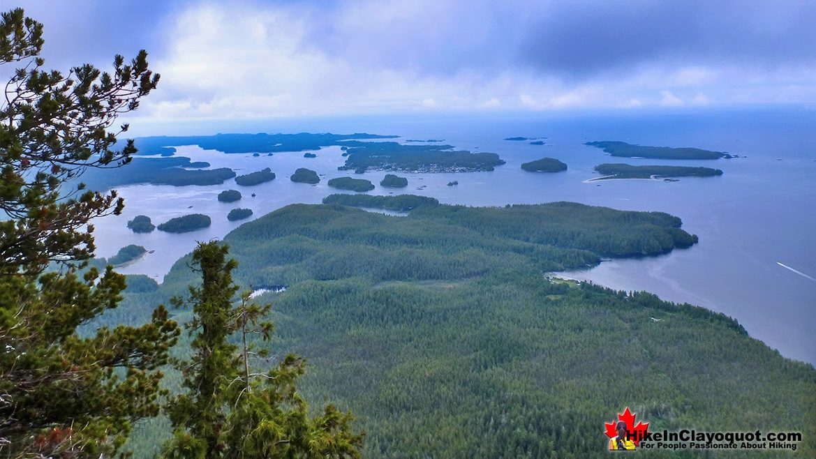 Lone Cone Summit View