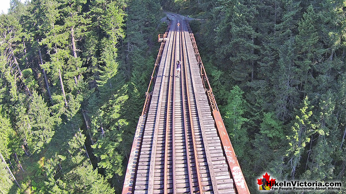 Goldstream Park Train Trestle