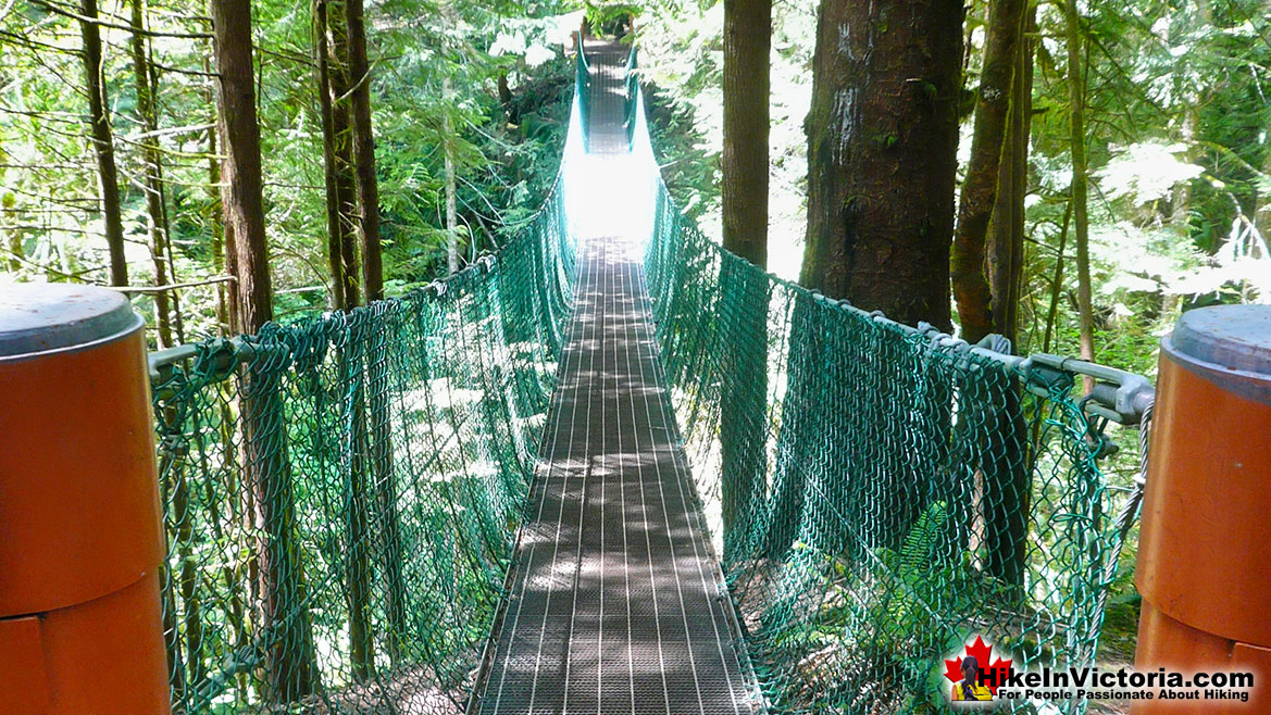 Juan de Fuca Trail Bridge