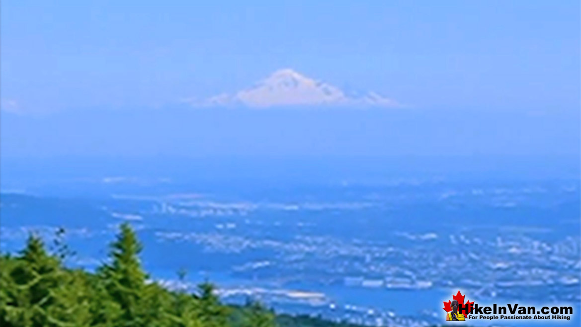 Black Mountain Hike in Vancouver