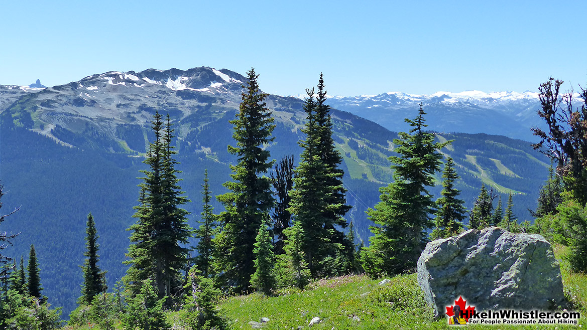 Blackcomb Mountain View of Whistler Mountain