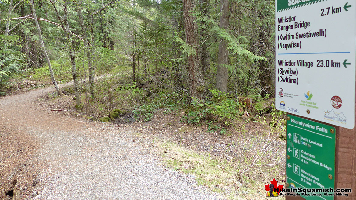 Sea to Sky Trail in Brandywine Falls Park