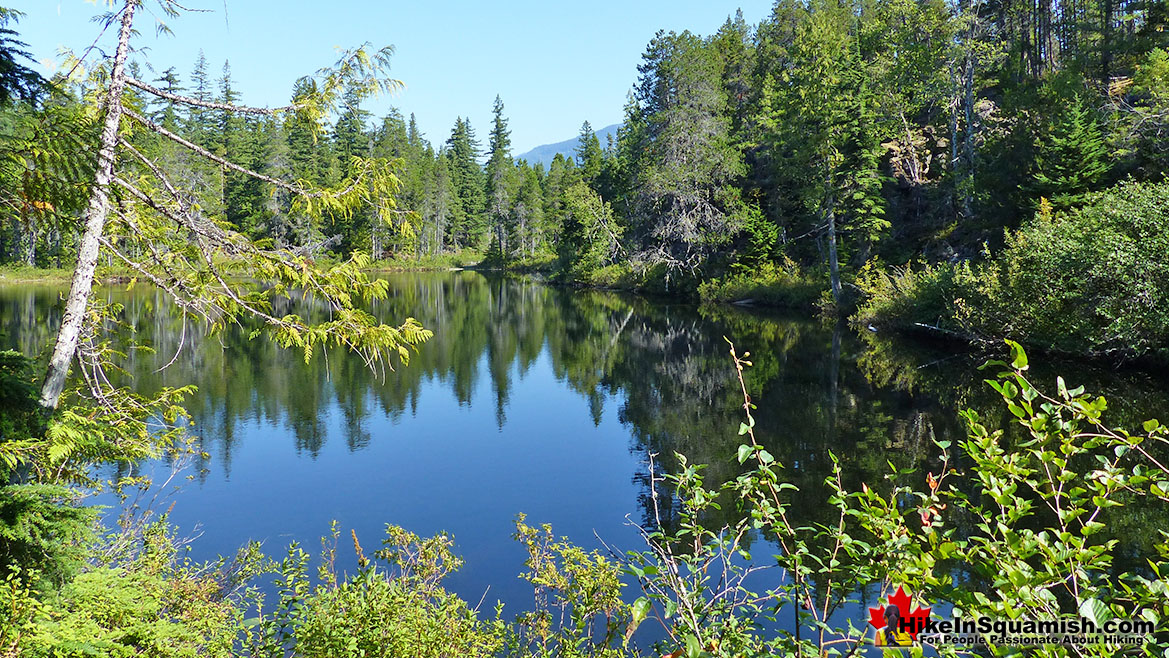 Swim Lake in Brandywine Falls Park