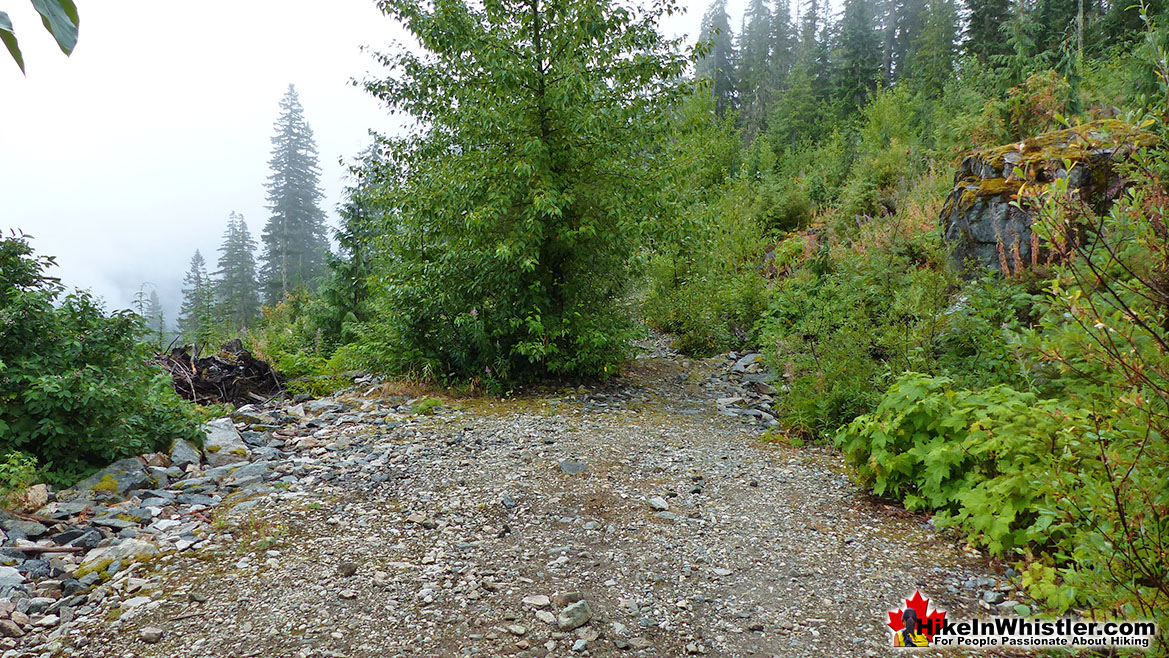 Brew Lake Trail