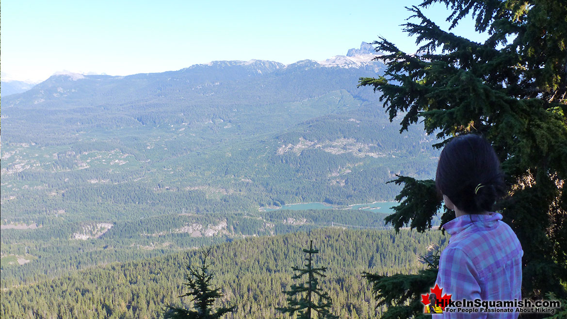 Brew Lake Trail View