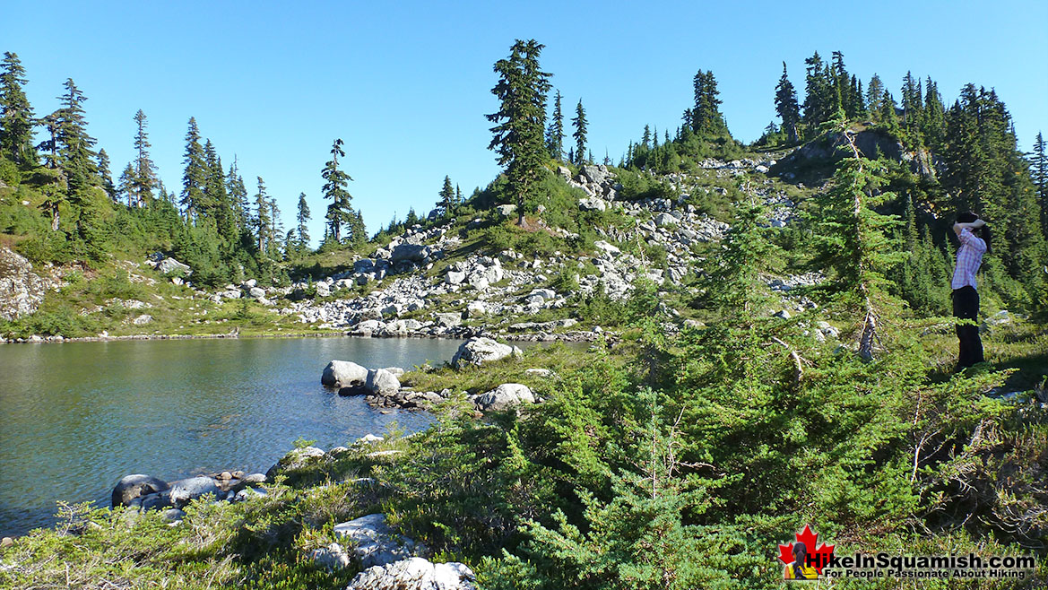 Brew Lake Hike in Squamish