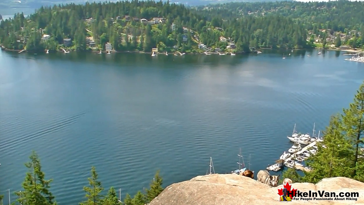 Deep Cove Lookout