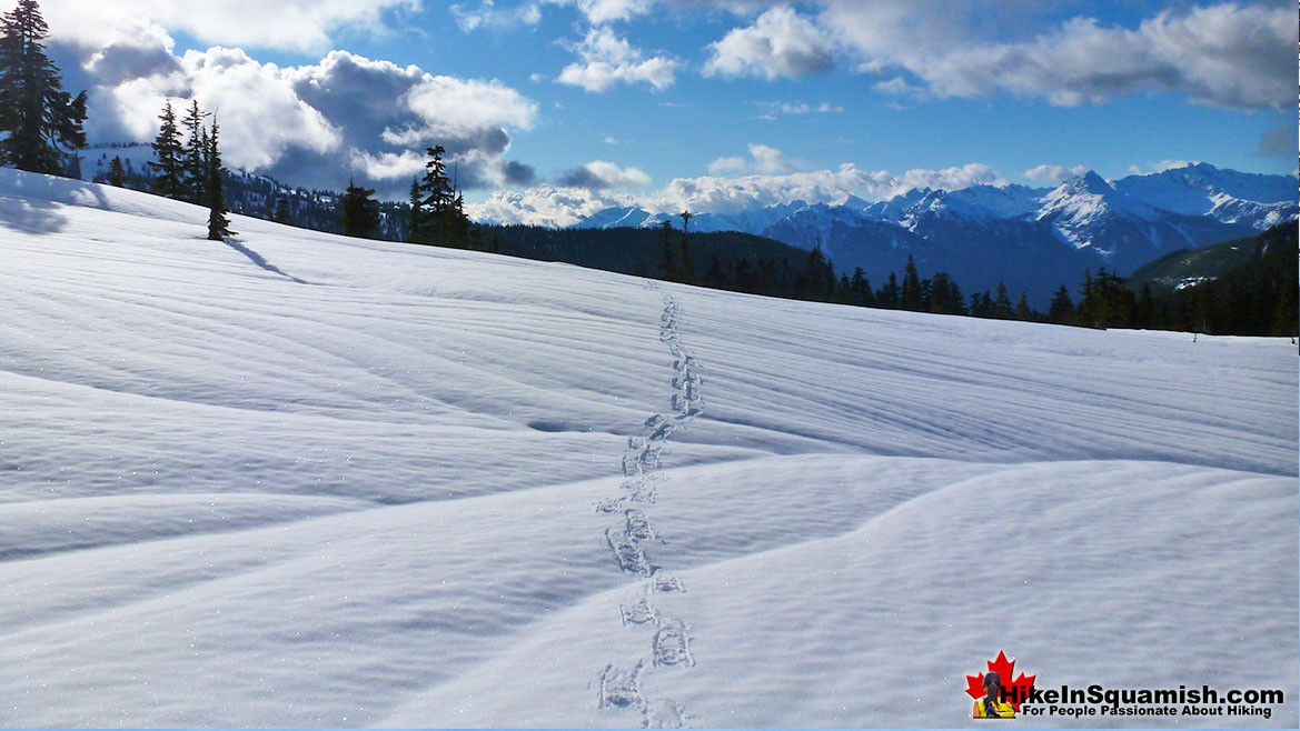 Elfin Lakes Trail