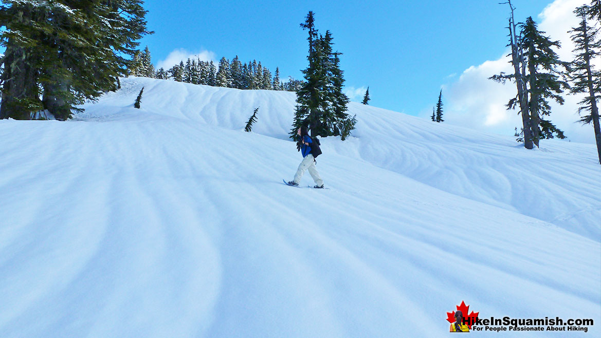 Elfin Lakes Trail