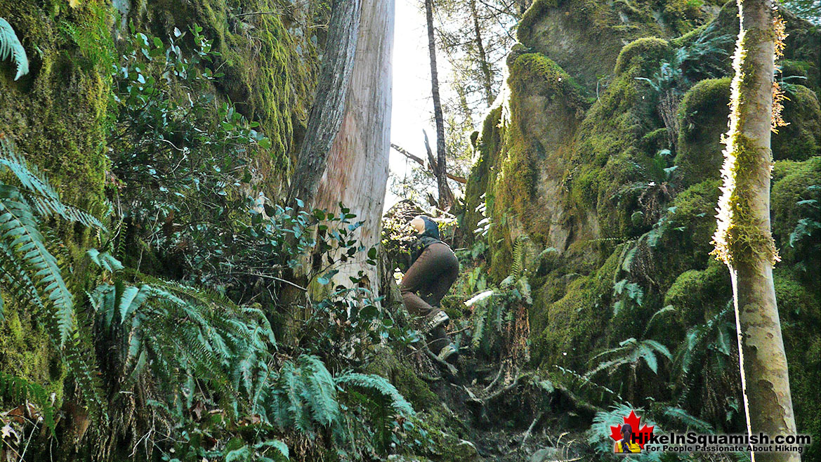 High Falls Steep Trail