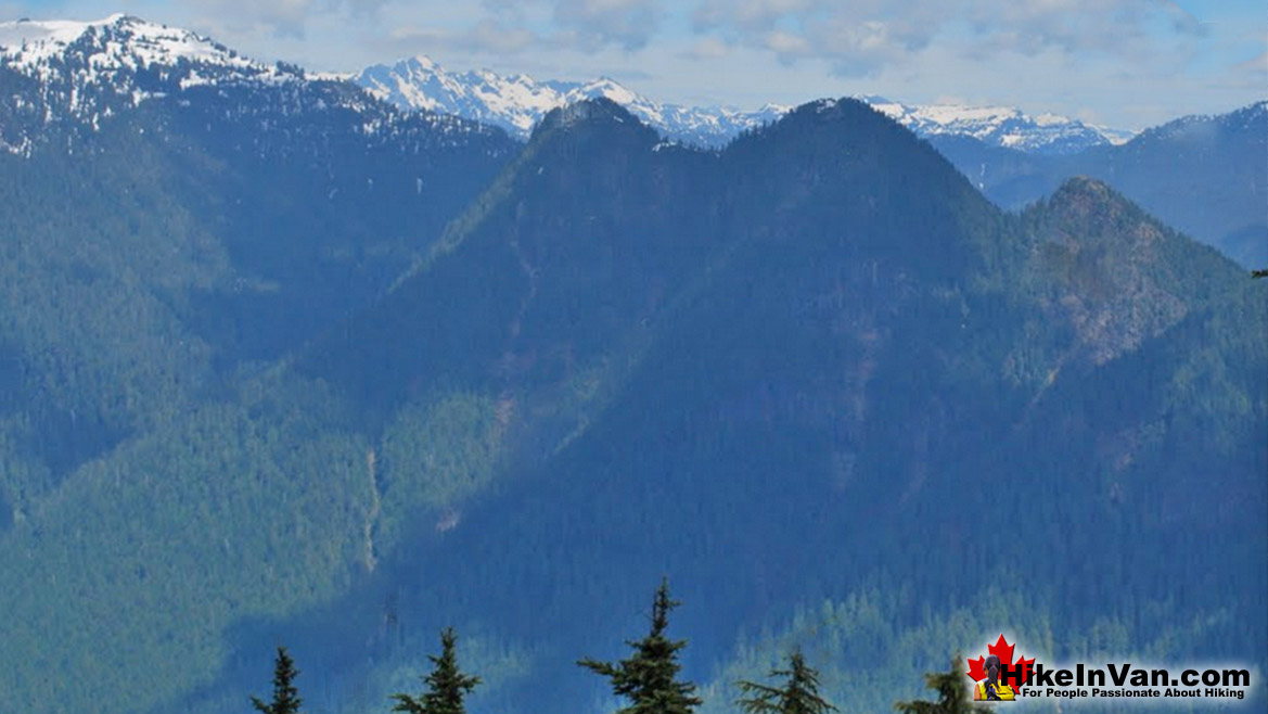 View from Mount Fromme