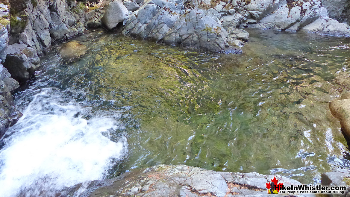 Rainbow Falls Hike in Whistler