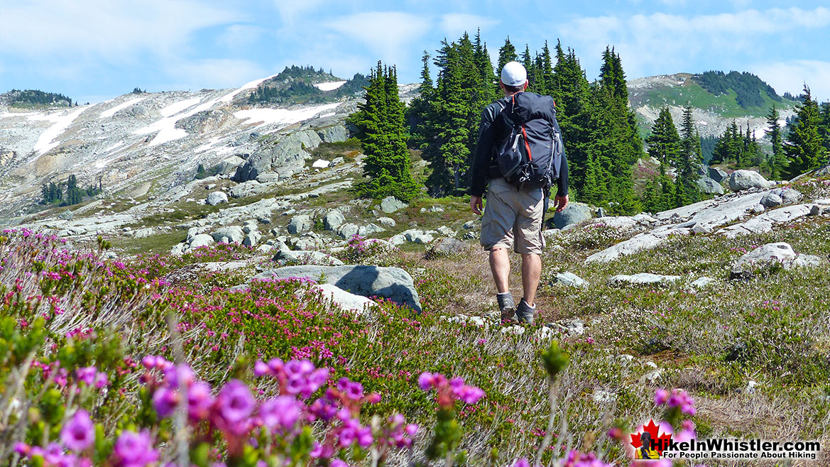 Mount Sproatt Hiking