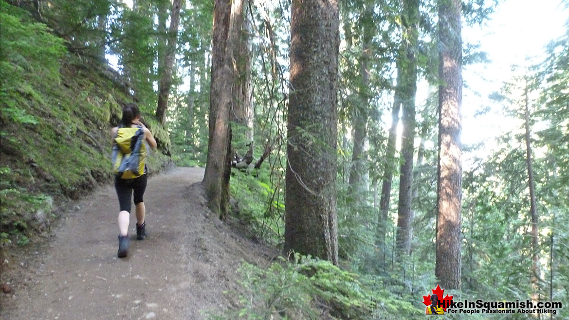 Rubble Creek Trail to Taylor Meadows