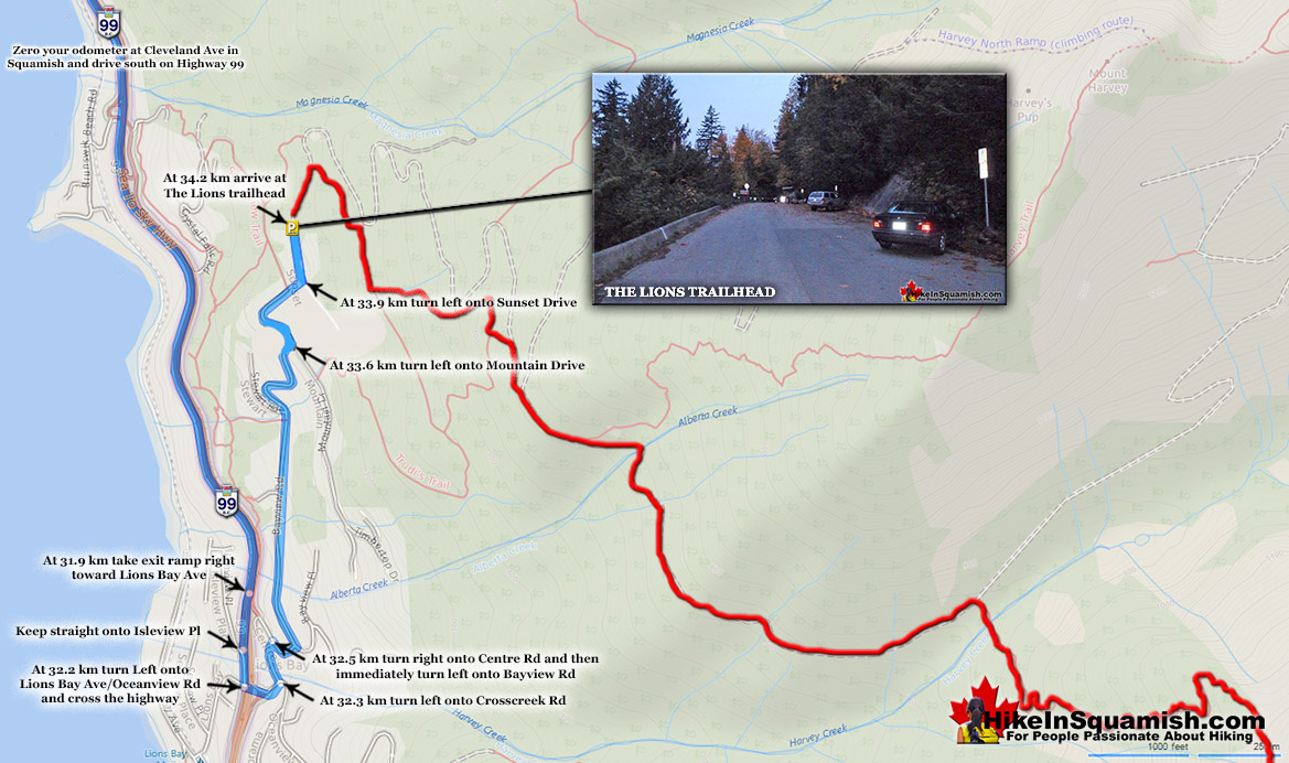 The Lions Driving Directions Map