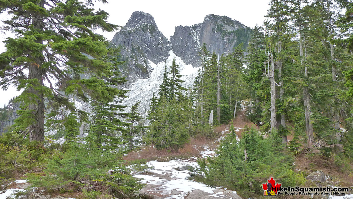 The Lions Trail