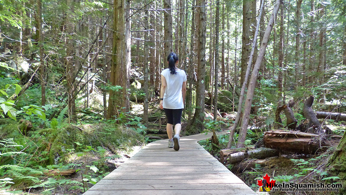 Upper Shannon Falls Trail