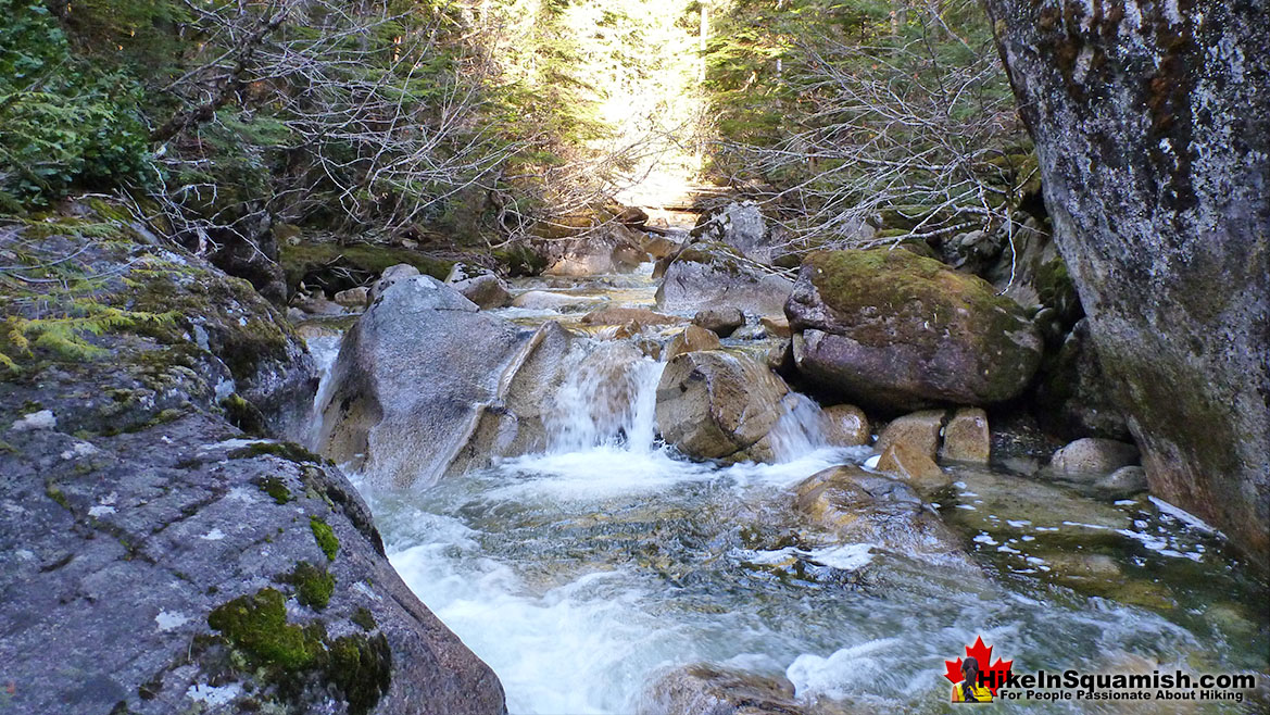 Upper Shannon Falls