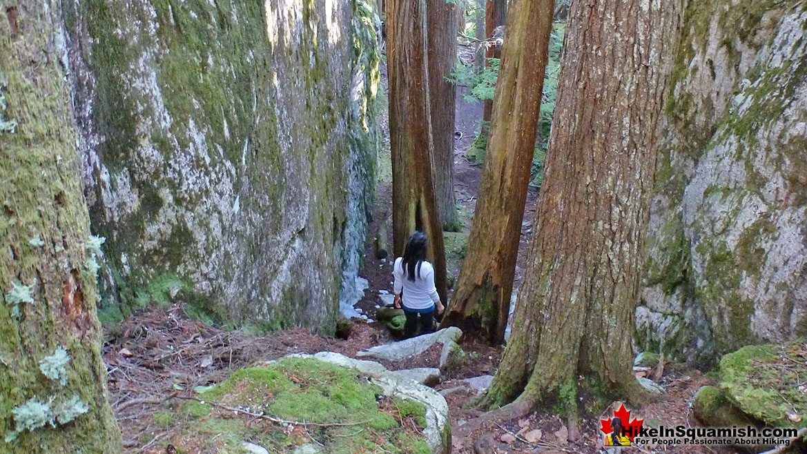 Upper Shannon Falls Trail